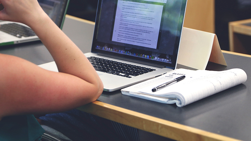 Person studying at the computer