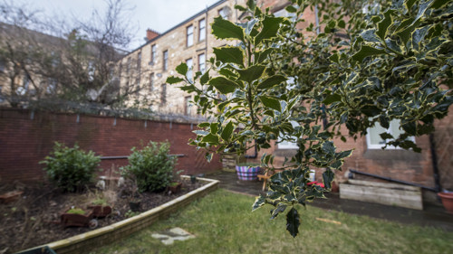 Govanhill Neighbourhood Centre view of community garden