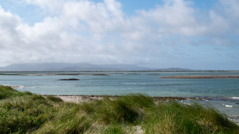 A sea view of South Uist from Benbecula, with mountains in the background. The sky is blue with lots of white clouds. A small beach is in the foreground with a number of green grass like plants shown.