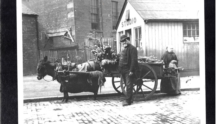 A man standing next to a vegetable cart, pulled by a donkey.