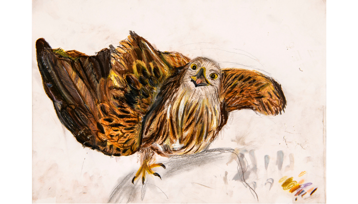 painting of bird of prey with wings spread