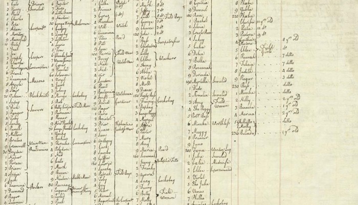 an old register showing the details of slaves on a plantation