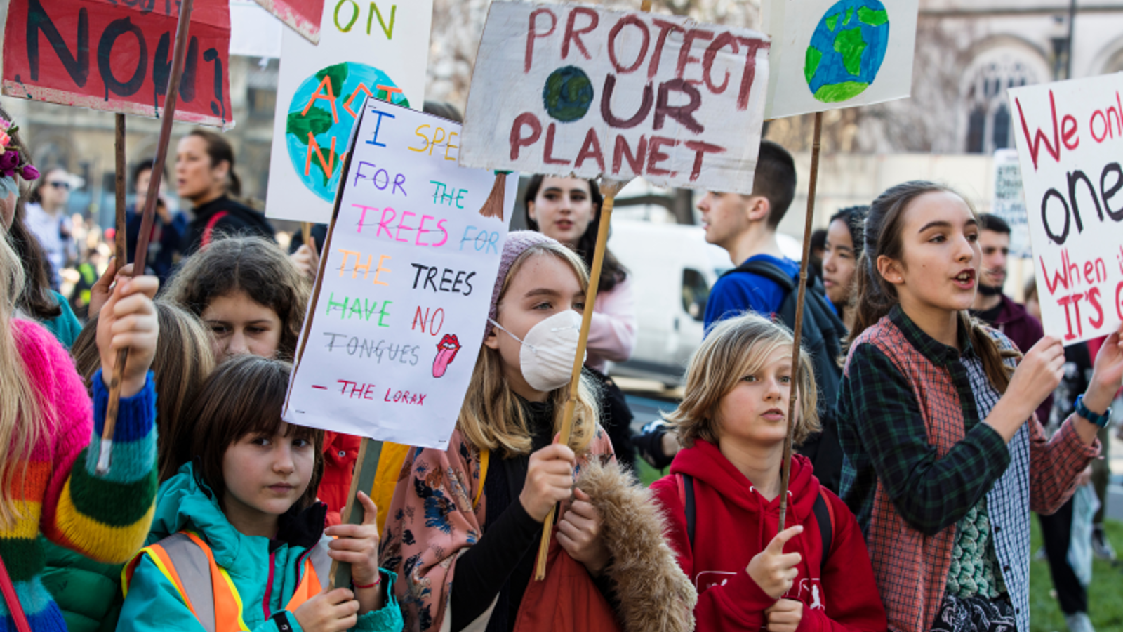 a photograph of another protest and people holding various environmental placards.