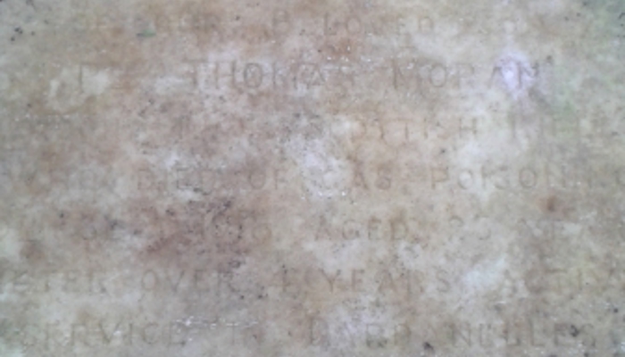 Thomas Moran's gravestone which is a flat marker in grey and engraved, but now faded, with red flowers placed on it.