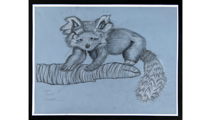 pencil drawing of animal on tree with blue background 