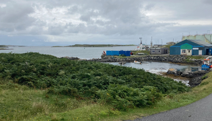 A small harbour in South Uist. There are boats shown and blue harbour buildings. The sea beyond the harbour is shown and there is greenery in the foreground.