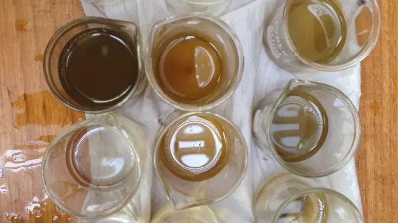 rows of glass beakers with fluid in them at various stages of cleaning. Some of them are dark and murky whilst others are clearer.